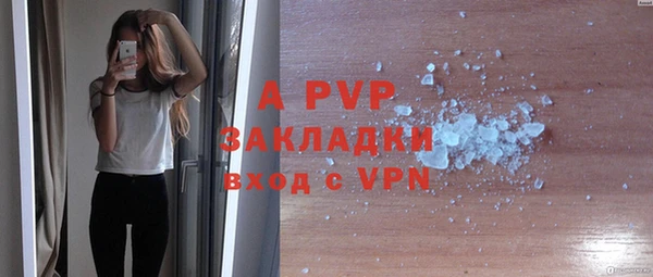крисы Верея