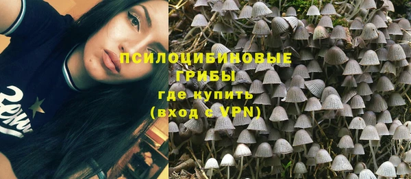 крисы Верея