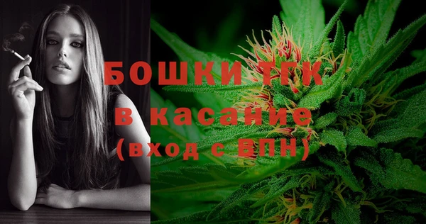 крисы Верея