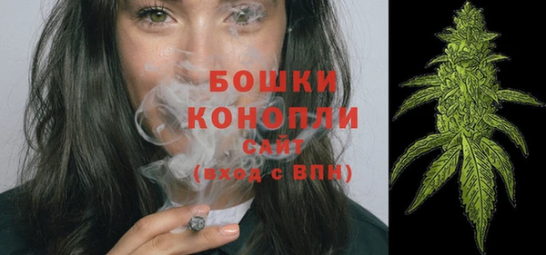 крисы Верея